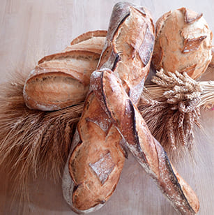 Du grain au pain : pains traditionnels à Lupsault en Charente (16)